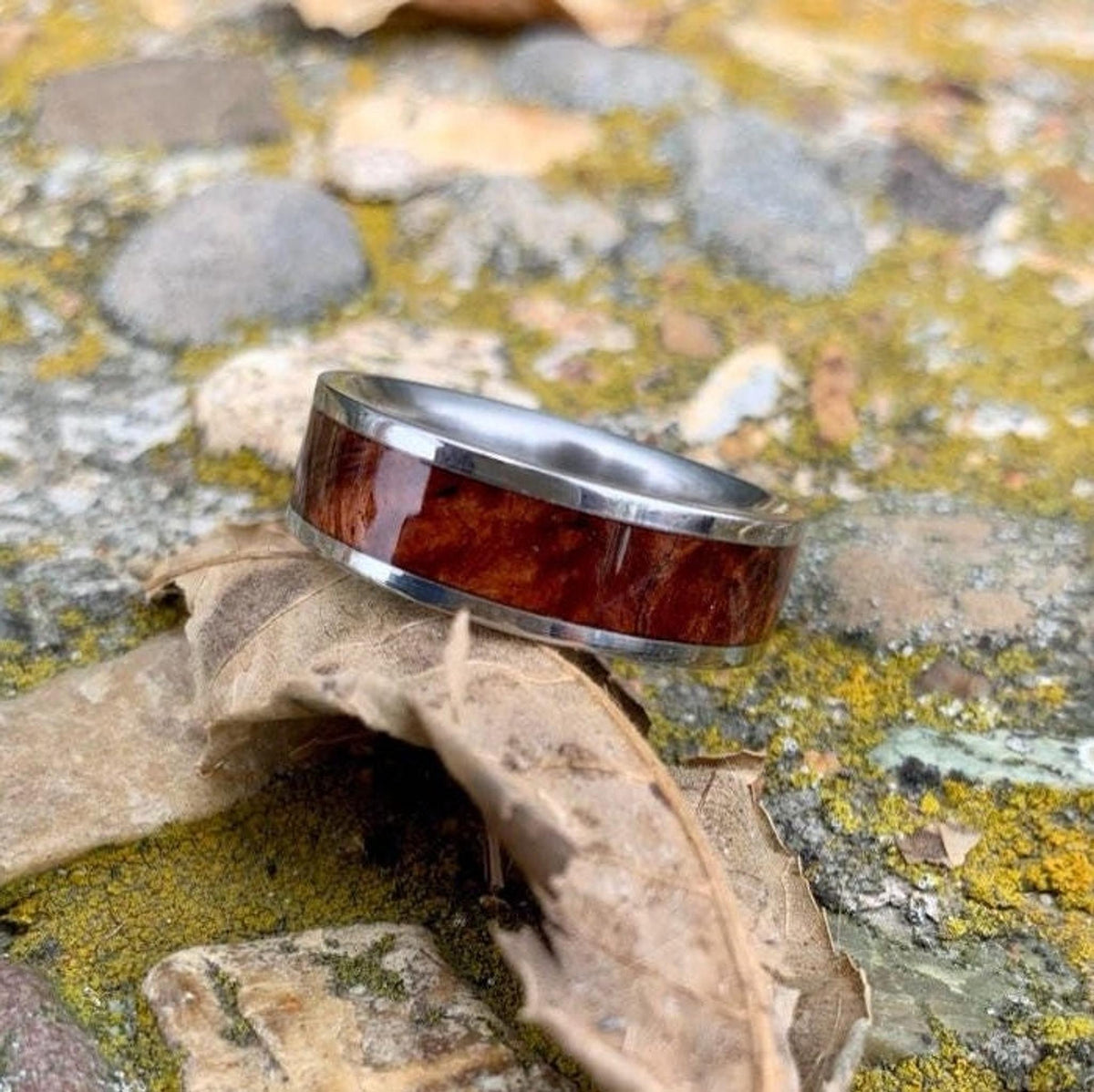 A silver-colored ring with a central band of reddish-brown wood sits on a dried brown leaf on mossy rocks. __etsy:8279993862