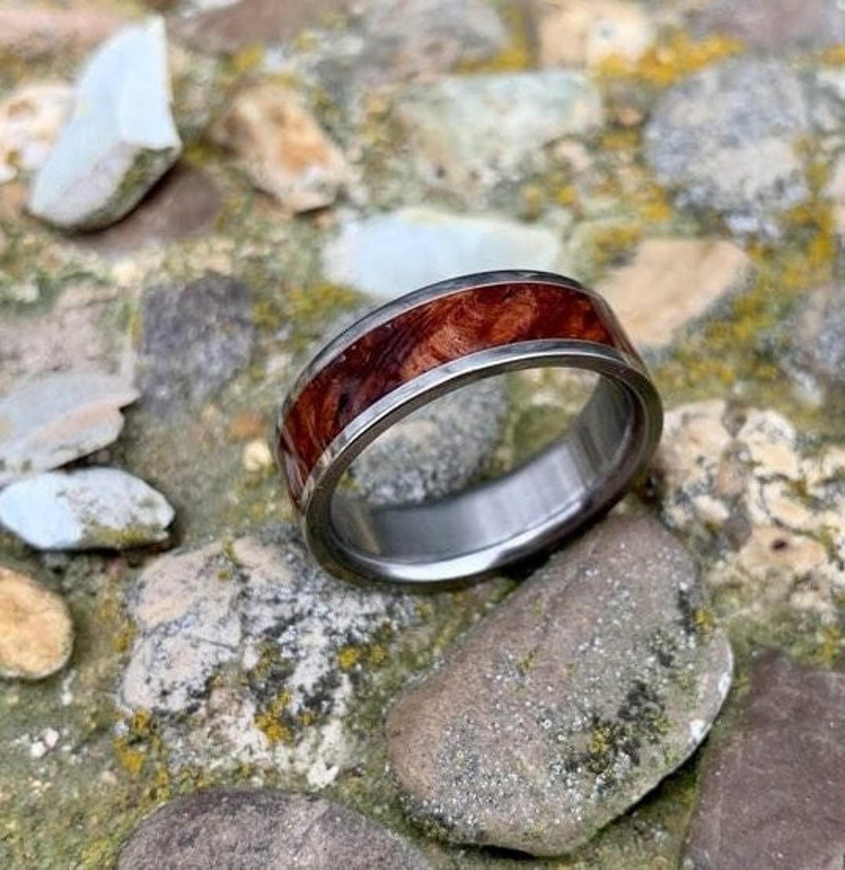 A silver-colored ring with a central band of reddish-brown wood is placed on a light-colored rock amidst mossy ground. __etsy:8279994056
