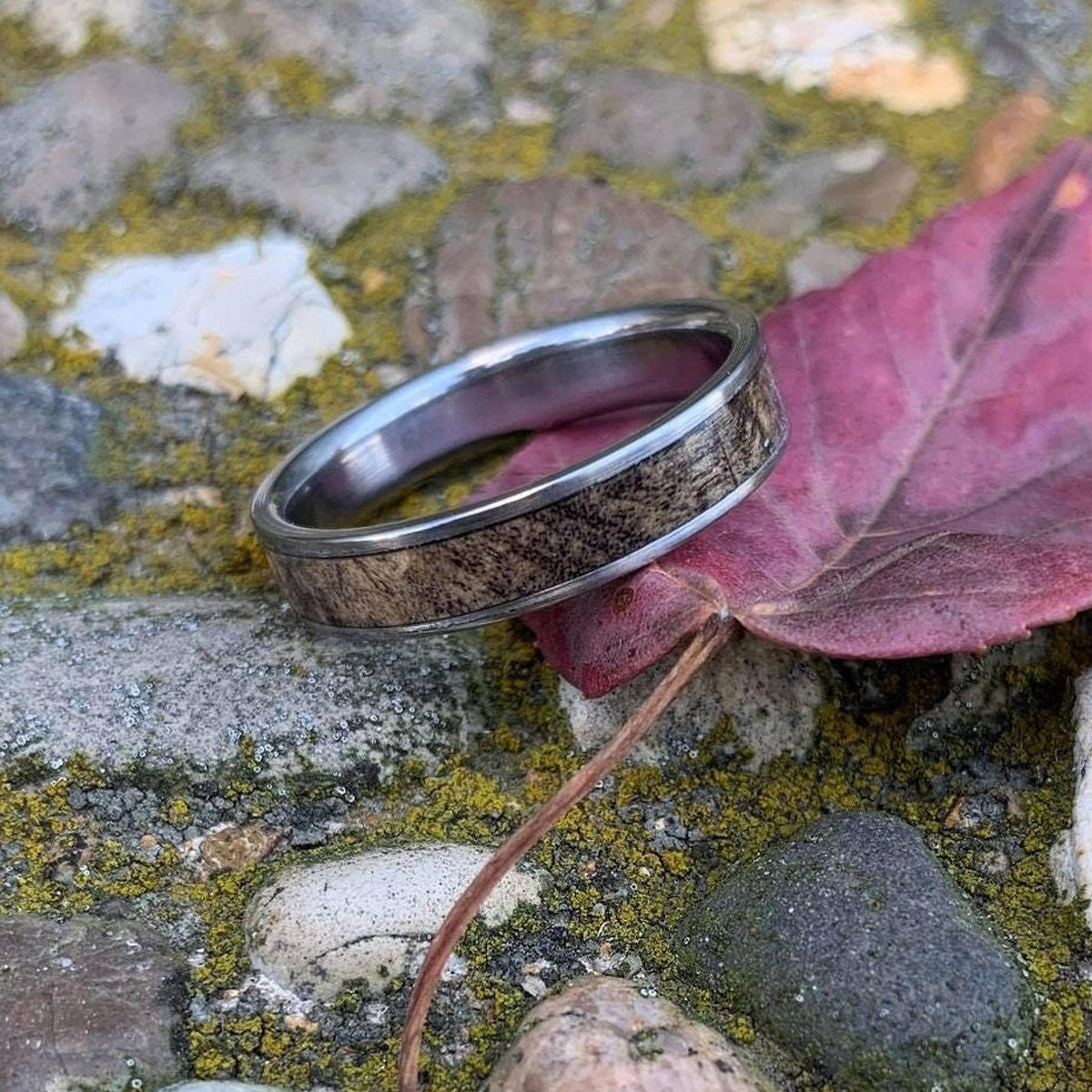 Men's Wedding Band - Wood Inlay - Titanium Ring with Buckeye Burl
