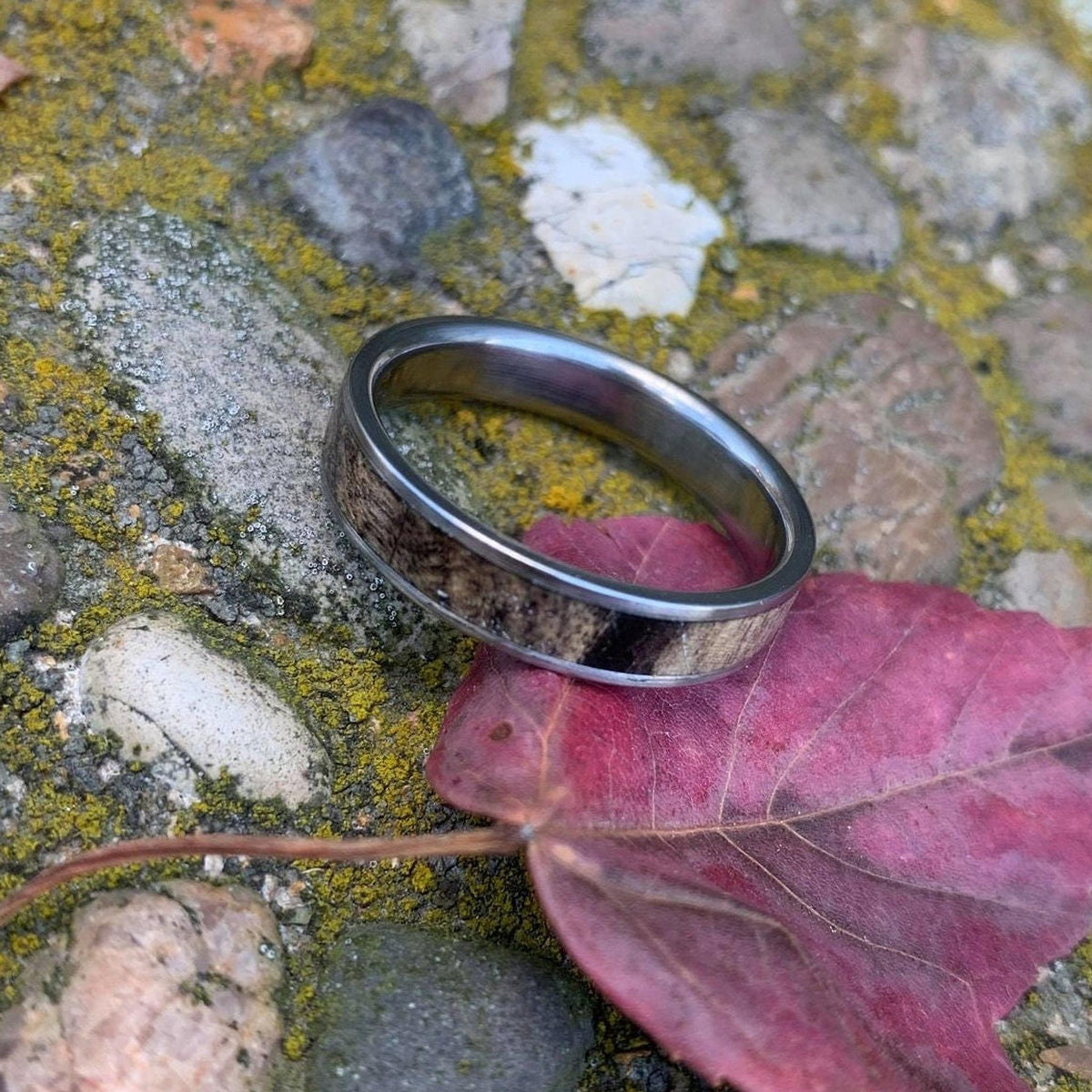 Men's Wedding Band - Wood Inlay - Titanium Ring with Buckeye Burl
