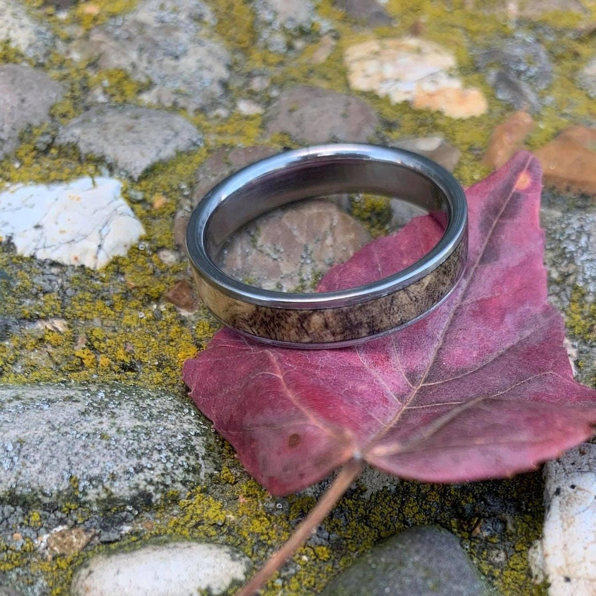 Men's Wedding Band - Wood Inlay - Titanium Ring with Buckeye Burl