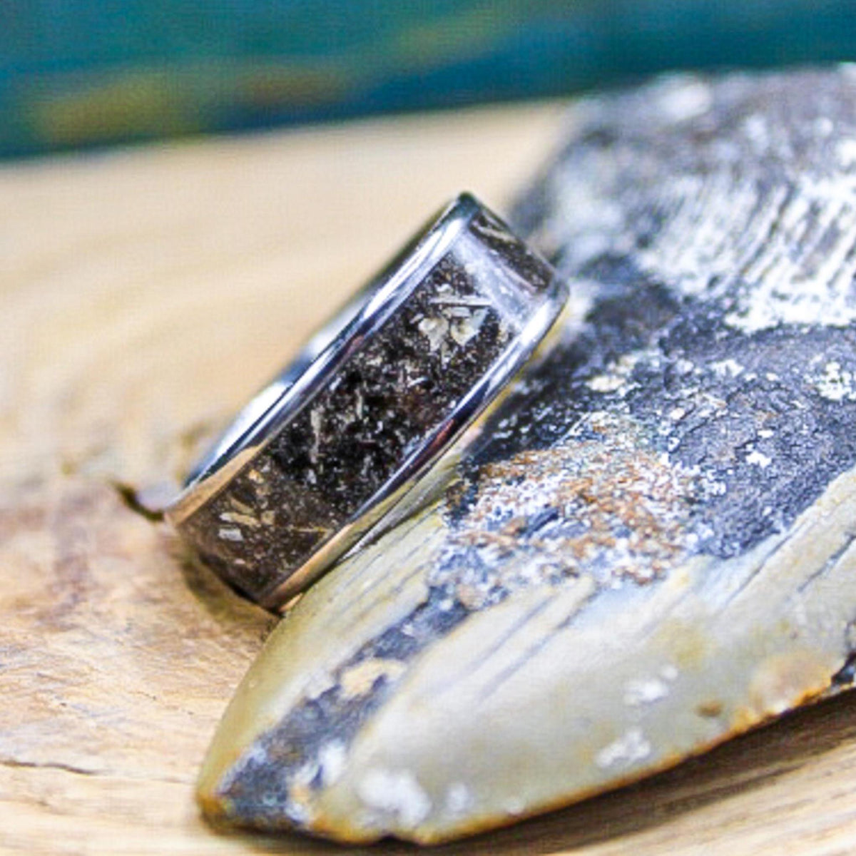 Megalodon fossil wedding band with dark natural tooth inlay and polished titanium edges