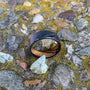 Damascus Steel Ring with Zebra Wood Inlay - Custom Wedding Band for Men