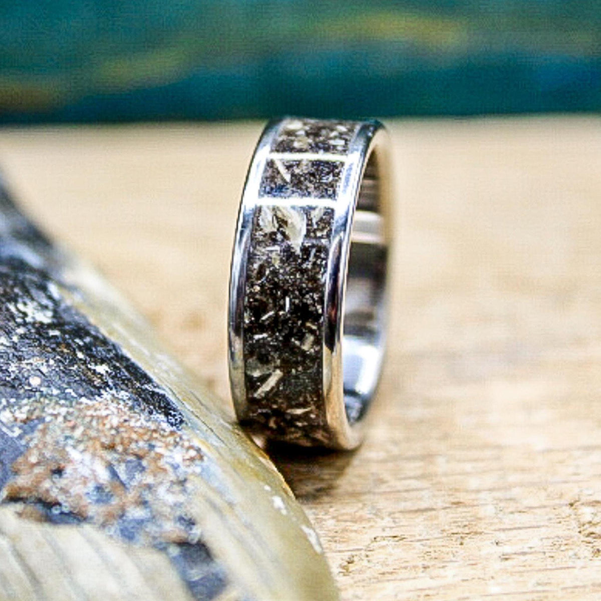 Close-up of titanium wedding band with genuine megalodon tooth fossil inlay