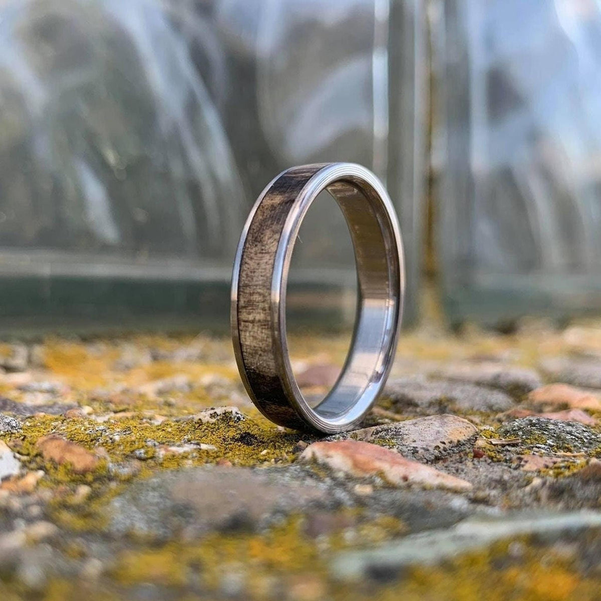 Men's Wedding Band - Wood Inlay - Titanium Ring with Buckeye Burl