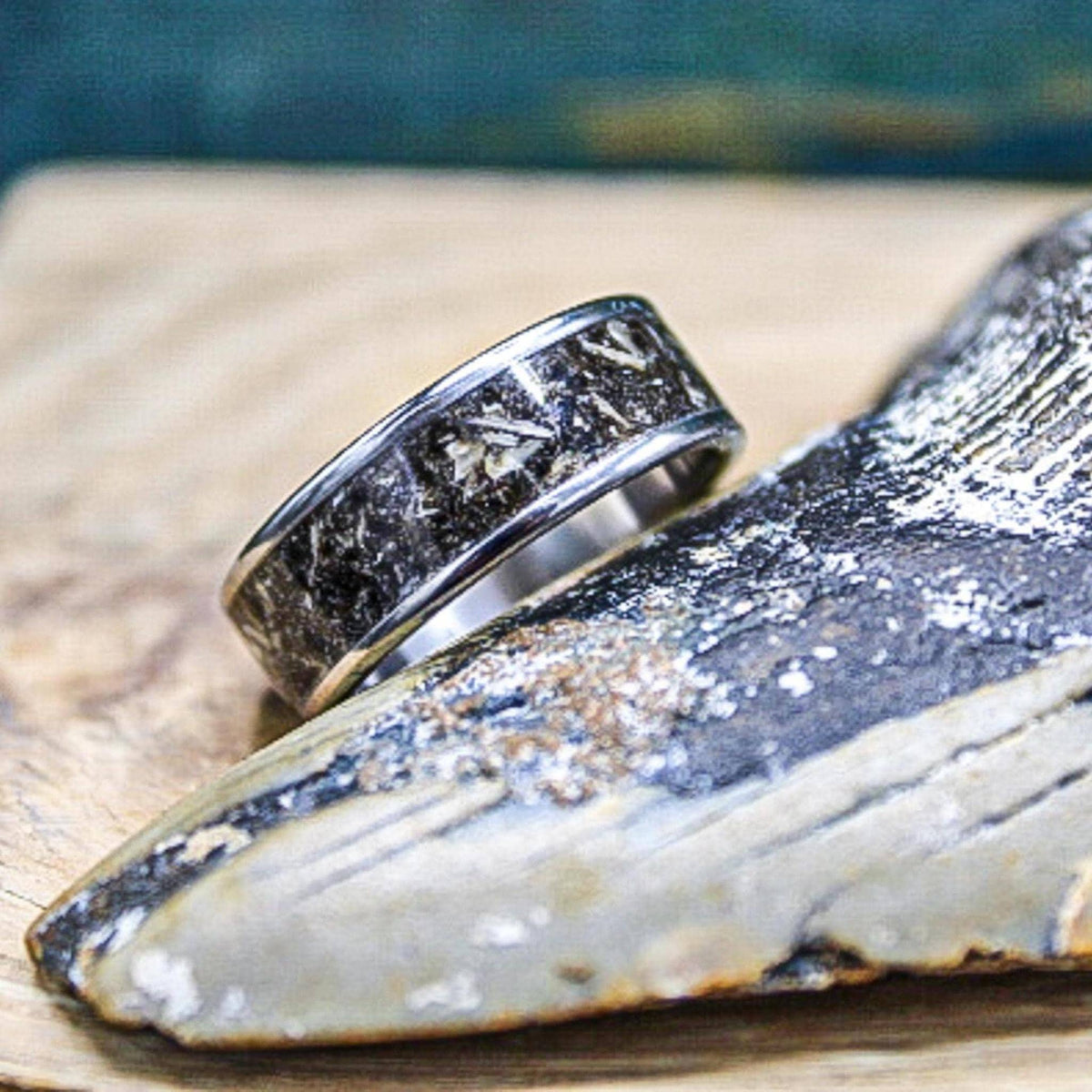 Megalodon tooth titanium wedding band displayed on genuine fossil shark tooth