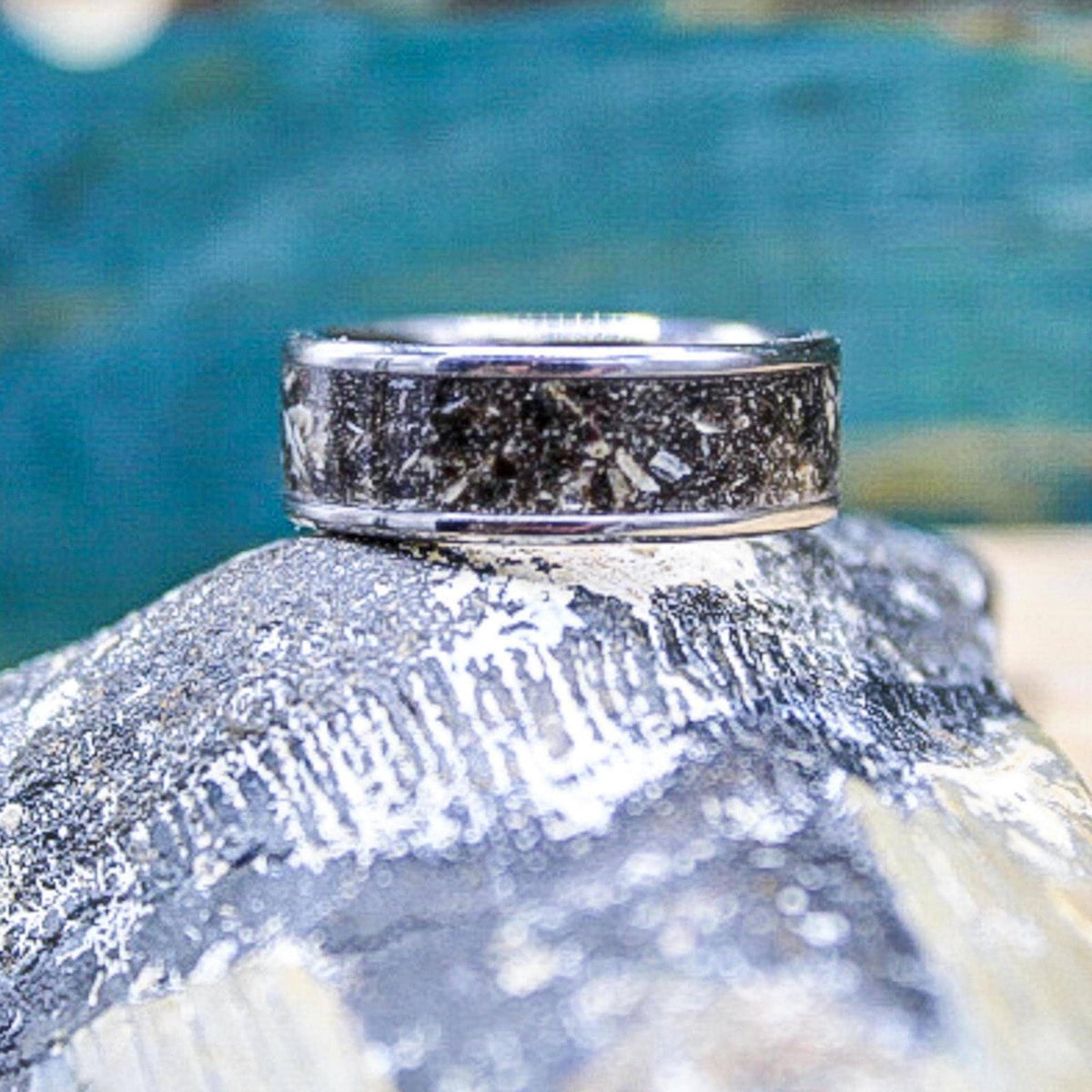 Handcrafted titanium megalodon tooth ring displayed on fossil shark tooth