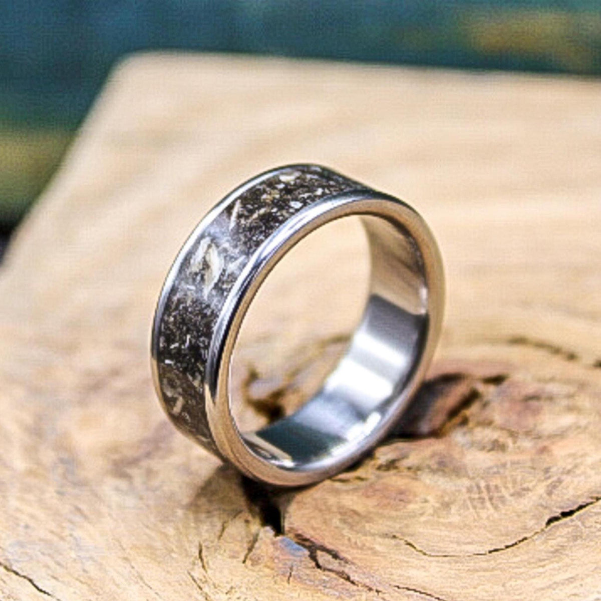 Titanium megalodon tooth wedding ring showing polished metal and dark fossil inlay