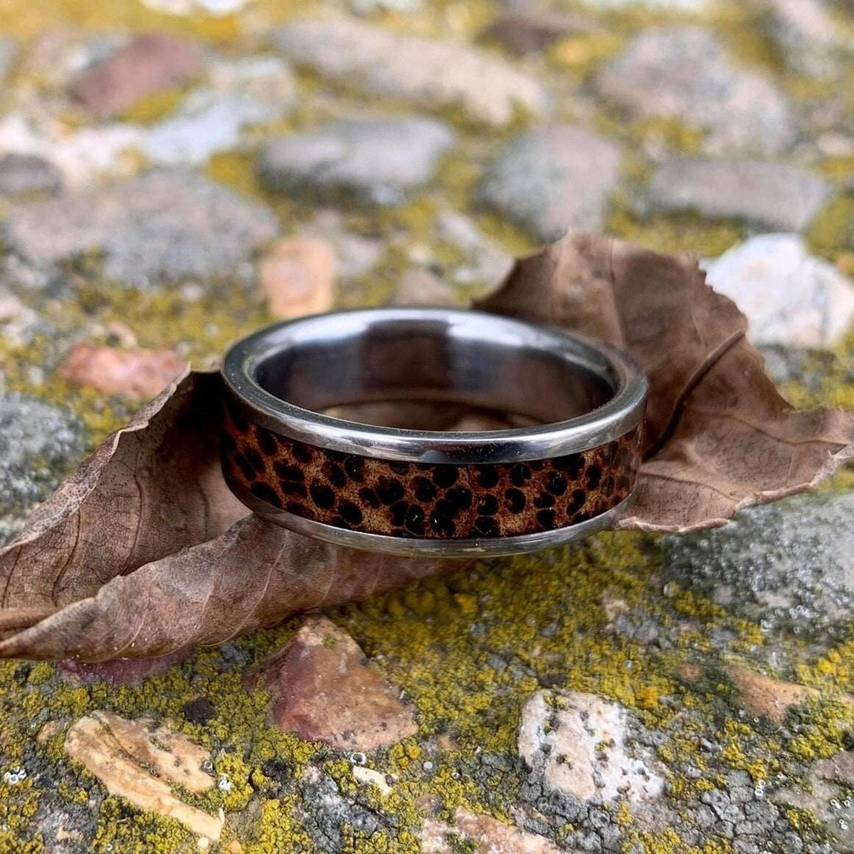 A titanium wedding band with a red palm wood center rests on a dry leaf over a textured stone ground.
