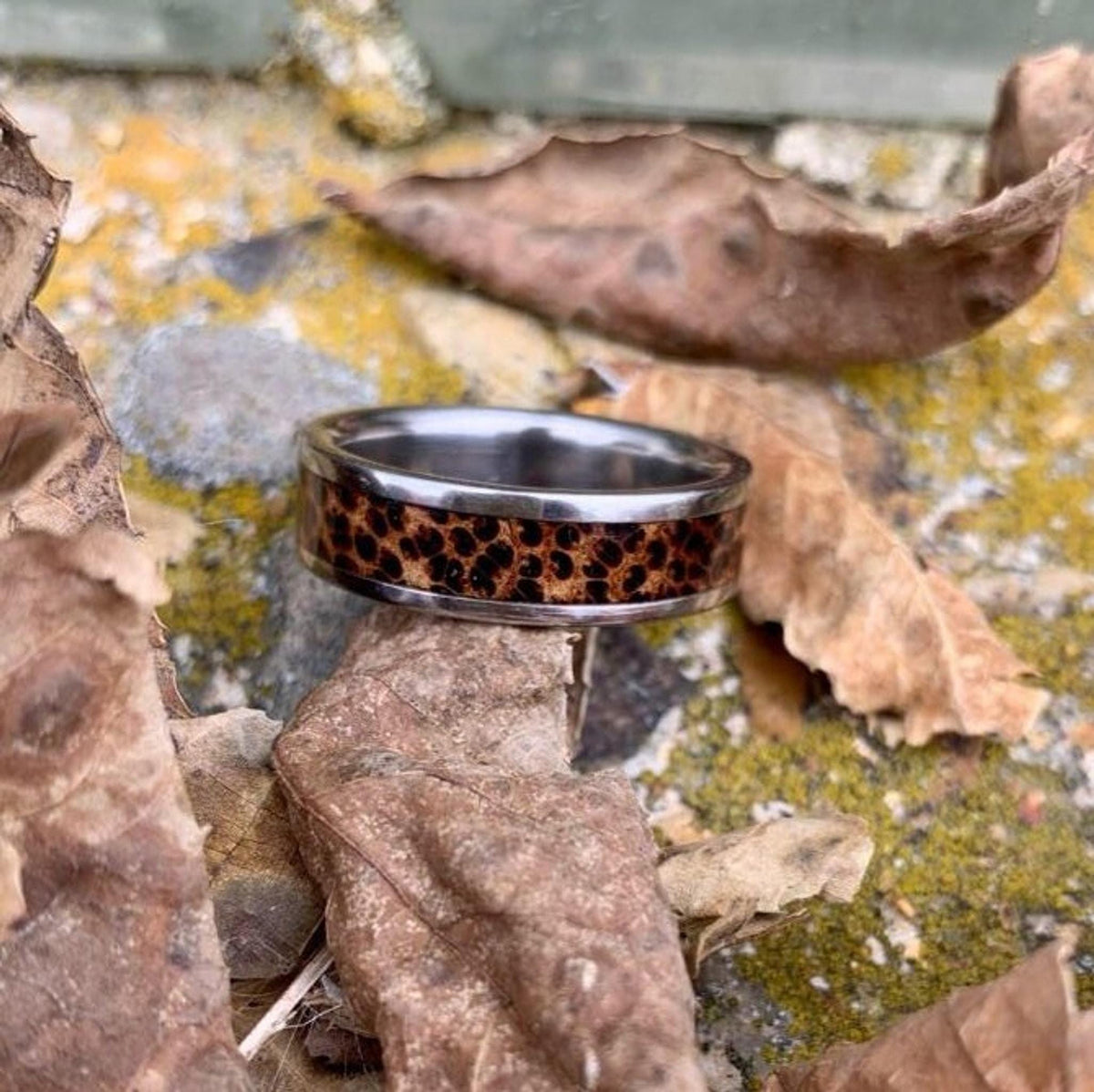 A side view of the titanium and red palm wood ring placed on a bed of dry leaves.