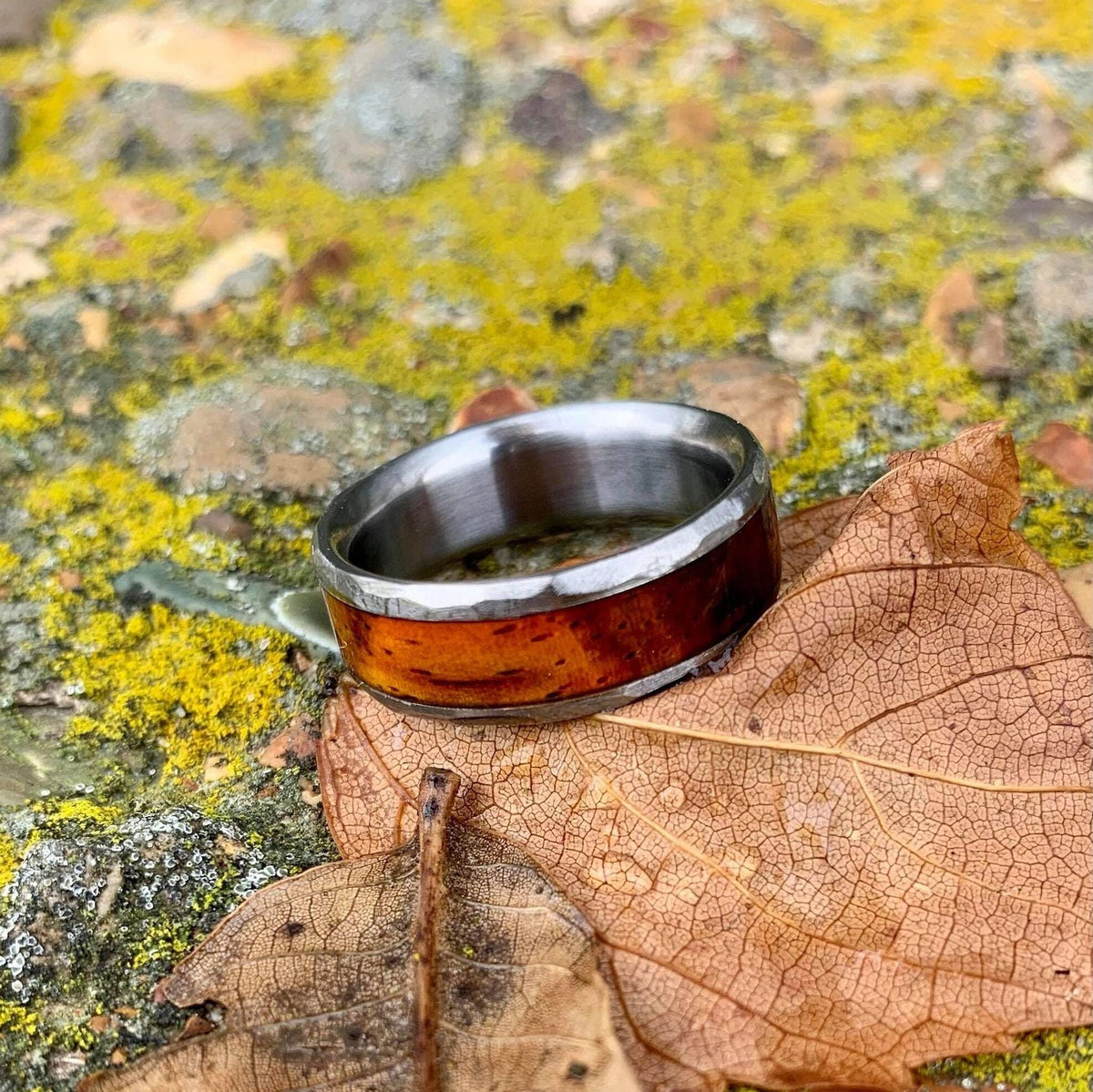 The ring sitting upright on a large dry leaf against a backdrop of moss-covered rocks.