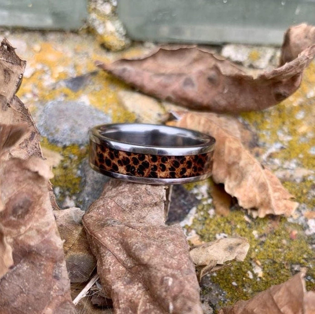 A titanium ring with a red palm wood inlay rests on mossy stone surrounded by dry leaves.
