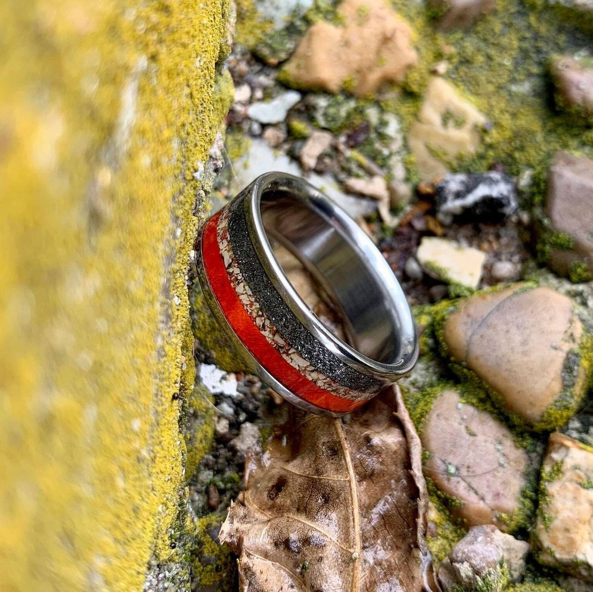 A vertical view of the titanium ring nestled between a moss-covered stone and a dried leaf.